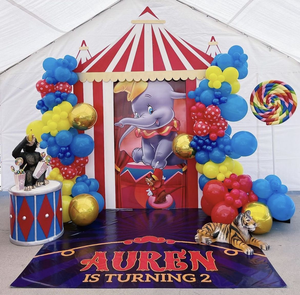 Colors, Lights, and Circus Delights